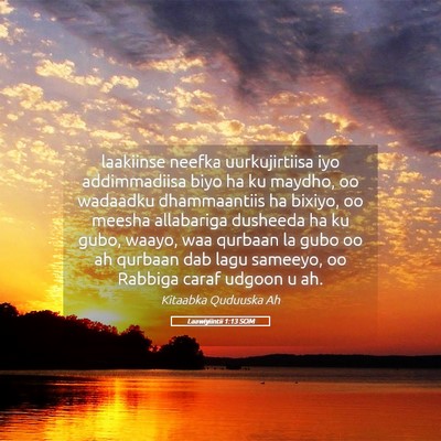 Picture 05 - Laawiyiintii 1:13 SOM - laakiinse neefka uurkujirtiisa iyo addimmadiisa - Bible Verse Picture