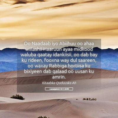 Picture 05 - Laawiyiintii 10:1 SOM - Oo Naadaab iyo Abiihuu oo ahaa wiilashii Haaruun - Bible Verse Picture