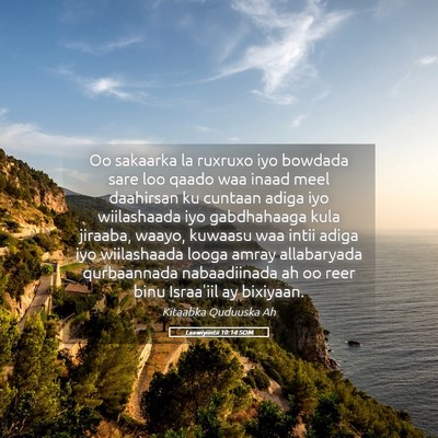 Picture 05 - Laawiyiintii 10:14 SOM - Oo sakaarka la ruxruxo iyo bowdada sare loo qaado - Bible Verse Picture