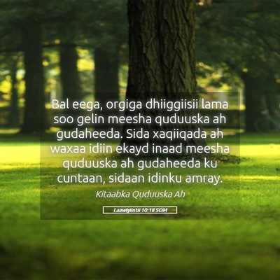 Picture 05 - Laawiyiintii 10:18 SOM - Bal eega, orgiga dhiiggiisii lama soo gelin - Bible Verse Picture