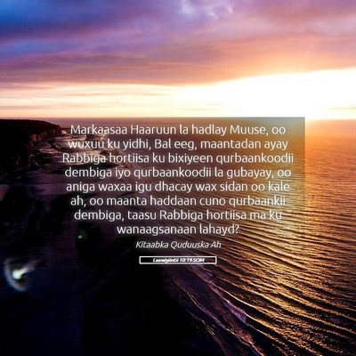 Picture 05 - Laawiyiintii 10:19 SOM - Markaasaa Haaruun la hadlay Muuse, oo wuxuu ku - Bible Verse Picture