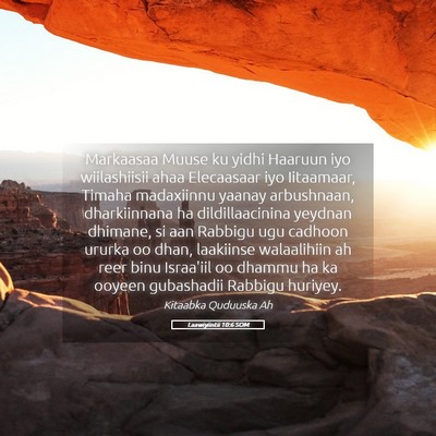 Picture 05 - Laawiyiintii 10:6 SOM - Markaasaa Muuse ku yidhi Haaruun iyo wiilashiisii - Bible Verse Picture