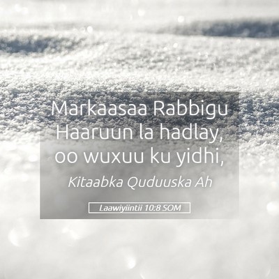 Picture 05 - Laawiyiintii 10:8 SOM - Markaasaa Rabbigu Haaruun la hadlay, oo wuxuu ku - Bible Verse Picture
