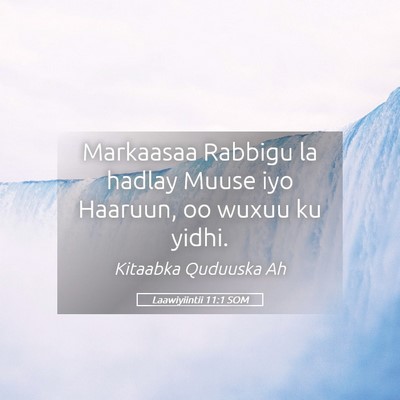 Picture 05 - Laawiyiintii 11:1 SOM - Markaasaa Rabbigu la hadlay Muuse iyo Haaruun, oo - Bible Verse Picture