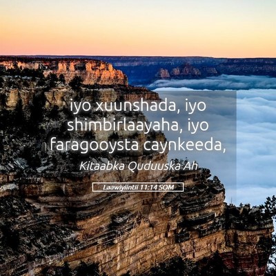 Picture 05 - Laawiyiintii 11:14 SOM - iyo xuunshada, iyo shimbirlaayaha, iyo - Bible Verse Picture