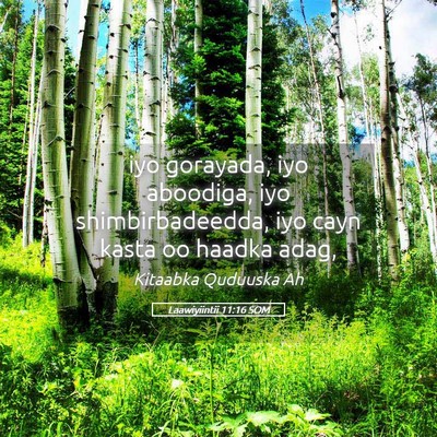 Picture 05 - Laawiyiintii 11:16 SOM - iyo gorayada, iyo aboodiga, iyo shimbirbadeedda, - Bible Verse Picture