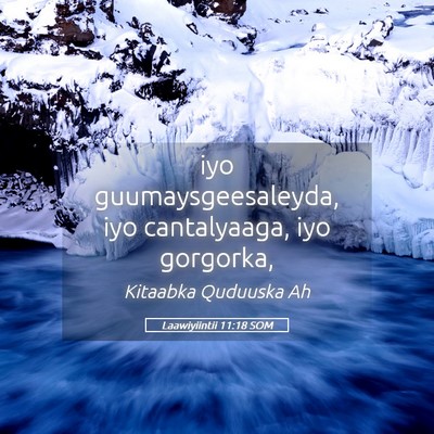 Picture 05 - Laawiyiintii 11:18 SOM - iyo guumaysgeesaleyda, iyo cantalyaaga, iyo - Bible Verse Picture