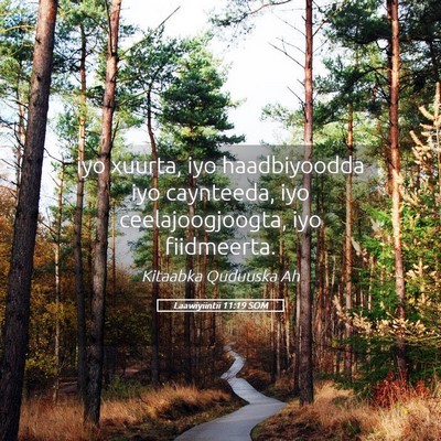 Picture 05 - Laawiyiintii 11:19 SOM - iyo xuurta, iyo haadbiyoodda iyo caynteeda, iyo - Bible Verse Picture