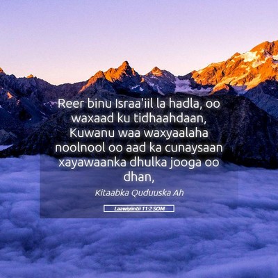 Picture 05 - Laawiyiintii 11:2 SOM - Reer binu Israa'iil la hadla, oo waxaad ku - Bible Verse Picture