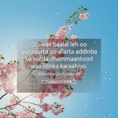 Picture 05 - Laawiyiintii 11:20 SOM - Oo wax baalal leh oo gurguurta oo afarta addinba - Bible Verse Picture