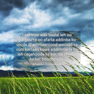 Picture 05 - Laawiyiintii 11:21 SOM - Laakiinse wax baalal leh oo gurguurta oo afarta - Bible Verse Picture