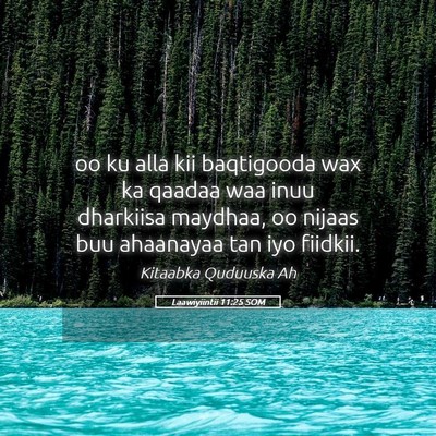 Picture 05 - Laawiyiintii 11:25 SOM - oo ku alla kii baqtigooda wax ka qaadaa waa inuu - Bible Verse Picture