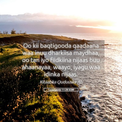 Picture 05 - Laawiyiintii 11:28 SOM - Oo kii baqtigooda qaadaana waa inuu dharkiisa - Bible Verse Picture