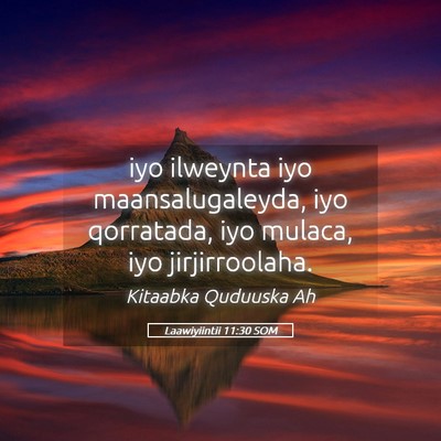 Picture 05 - Laawiyiintii 11:30 SOM - iyo ilweynta iyo maansalugaleyda, iyo qorratada, - Bible Verse Picture