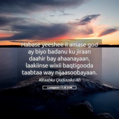 Picture 05 - Laawiyiintii 11:36 SOM - Habase yeeshee il amase god ay biyo badanu ku - Bible Verse Picture