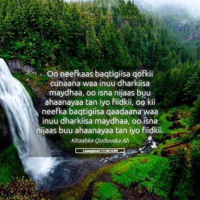 Picture 05 - Laawiyiintii 11:40 SOM - Oo neefkaas baqtigiisa qofkii cunaana waa inuu - Bible Verse Picture