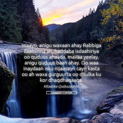 Picture 05 - Laawiyiintii 11:44 SOM - Waayo, anigu waxaan ahay Rabbiga Ilaahiinna ah, - Bible Verse Picture
