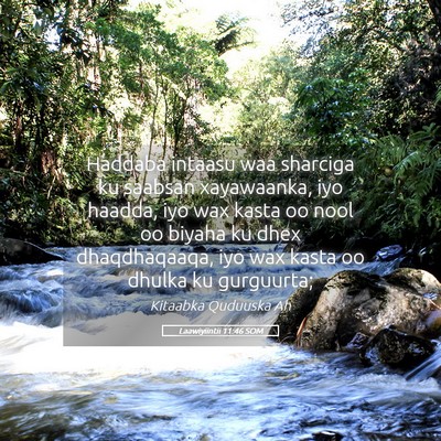 Picture 05 - Laawiyiintii 11:46 SOM - Haddaba intaasu waa sharciga ku saabsan - Bible Verse Picture