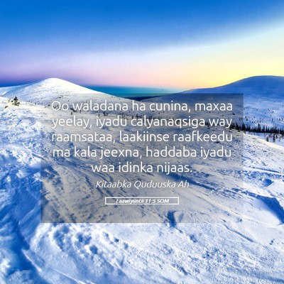 Picture 05 - Laawiyiintii 11:5 SOM - Oo waladana ha cunina, maxaa yeelay, iyadu - Bible Verse Picture