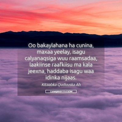 Picture 05 - Laawiyiintii 11:6 SOM - Oo bakaylahana ha cunina, maxaa yeelay, isagu - Bible Verse Picture