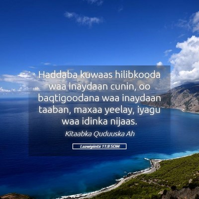Picture 05 - Laawiyiintii 11:8 SOM - Haddaba kuwaas hilibkooda waa inaydaan cunin, oo - Bible Verse Picture