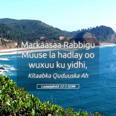 Picture 05 - Laawiyiintii 12:1 SOM - Markaasaa Rabbigu Muuse la hadlay oo wuxuu ku - Bible Verse Picture