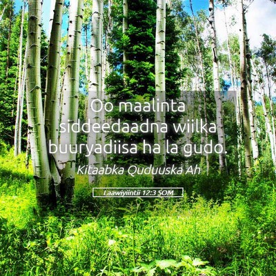 Picture 05 - Laawiyiintii 12:3 SOM - Oo maalinta siddeedaadna wiilka buuryadiisa ha la - Bible Verse Picture