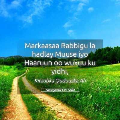 Picture 05 - Laawiyiintii 13:1 SOM - Markaasaa Rabbigu la hadlay Muuse iyo Haaruun oo - Bible Verse Picture