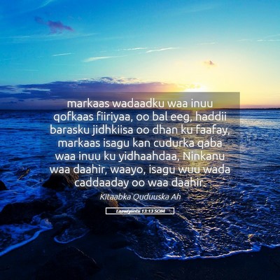 Picture 05 - Laawiyiintii 13:13 SOM - markaas wadaadku waa inuu qofkaas fiiriyaa, oo - Bible Verse Picture