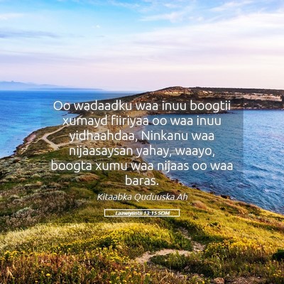 Picture 05 - Laawiyiintii 13:15 SOM - Oo wadaadku waa inuu boogtii xumayd fiiriyaa oo - Bible Verse Picture