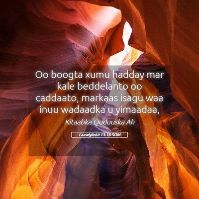 Picture 05 - Laawiyiintii 13:16 SOM - Oo boogta xumu hadday mar kale beddelanto oo - Bible Verse Picture