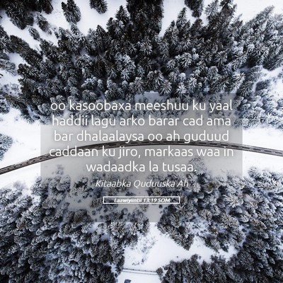 Picture 05 - Laawiyiintii 13:19 SOM - oo kasoobaxa meeshuu ku yaal haddii lagu arko - Bible Verse Picture
