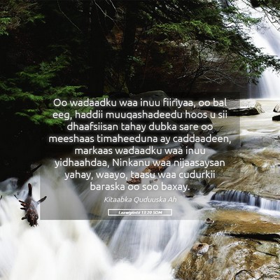 Picture 05 - Laawiyiintii 13:20 SOM - Oo wadaadku waa inuu fiiriyaa, oo bal eeg, haddii - Bible Verse Picture