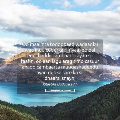 Picture 05 - Laawiyiintii 13:32 SOM - Oo maalinta toddobaad wadaadku waa inuu cudurka - Bible Verse Picture
