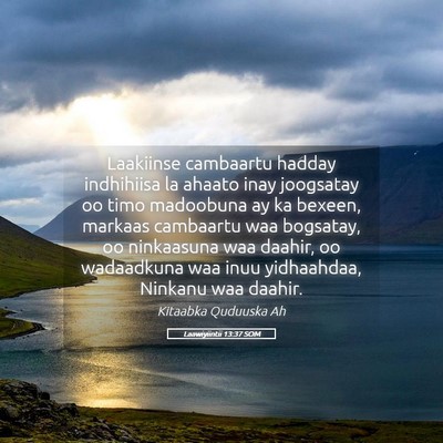 Picture 05 - Laawiyiintii 13:37 SOM - Laakiinse cambaartu hadday indhihiisa la ahaato - Bible Verse Picture