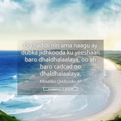 Picture 05 - Laawiyiintii 13:38 SOM - Oo haddii nin ama naagu ay dubka jidhkooda ku - Bible Verse Picture