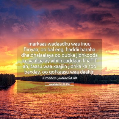 Picture 05 - Laawiyiintii 13:39 SOM - markaas wadaadku waa inuu fiiriyaa, oo bal eeg, - Bible Verse Picture