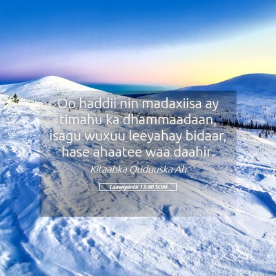 Picture 05 - Laawiyiintii 13:40 SOM - Oo haddii nin madaxiisa ay timahu ka dhammaadaan, - Bible Verse Picture