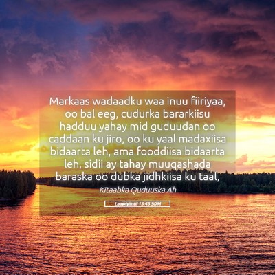 Picture 05 - Laawiyiintii 13:43 SOM - Markaas wadaadku waa inuu fiiriyaa, oo bal eeg, - Bible Verse Picture