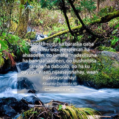Picture 05 - Laawiyiintii 13:45 SOM - Oo qofkii cudurka baraska qaba dharkiisu wax - Bible Verse Picture