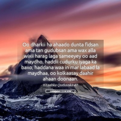 Picture 05 - Laawiyiintii 13:58 SOM - Oo dharkii ha ahaado dunta fidsan ama tan - Bible Verse Picture