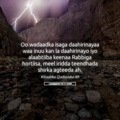 Picture 05 - Laawiyiintii 14:11 SOM - Oo wadaadka isaga daahirinayaa waa inuu kan la - Bible Verse Picture