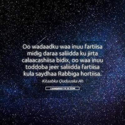 Picture 05 - Laawiyiintii 14:16 SOM - Oo wadaadku waa inuu fartiisa midig daraa - Bible Verse Picture