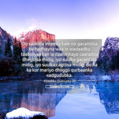 Picture 05 - Laawiyiintii 14:17 SOM - Oo saliidda inteeda kale oo gacantiisa ku - Bible Verse Picture