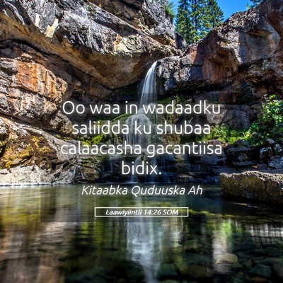 Picture 05 - Laawiyiintii 14:26 SOM - Oo waa in wadaadku saliidda ku shubaa calaacasha - Bible Verse Picture