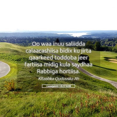 Picture 05 - Laawiyiintii 14:27 SOM - Oo waa inuu saliidda calaacashiisa bidix ku jirta - Bible Verse Picture