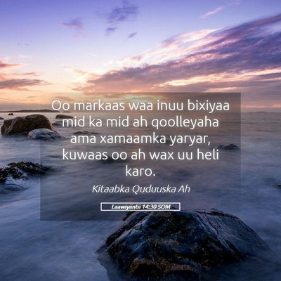 Picture 05 - Laawiyiintii 14:30 SOM - Oo markaas waa inuu bixiyaa mid ka mid ah - Bible Verse Picture