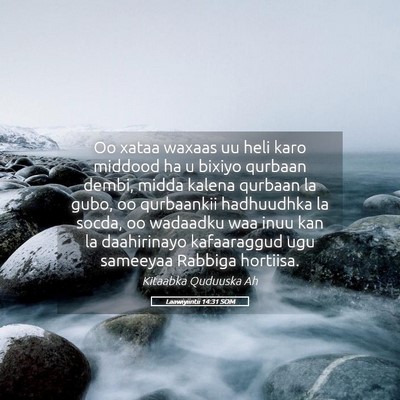 Picture 05 - Laawiyiintii 14:31 SOM - Oo xataa waxaas uu heli karo middood ha u bixiyo - Bible Verse Picture