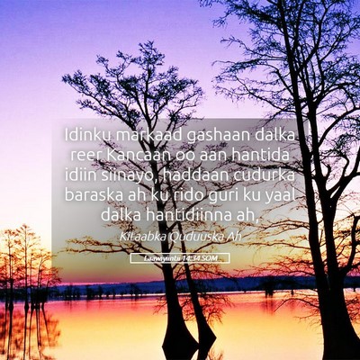 Picture 05 - Laawiyiintii 14:34 SOM - Idinku markaad gashaan dalka reer Kancaan oo aan - Bible Verse Picture