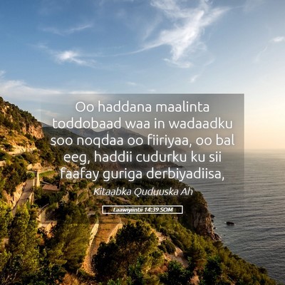 Picture 05 - Laawiyiintii 14:39 SOM - Oo haddana maalinta toddobaad waa in wadaadku soo - Bible Verse Picture